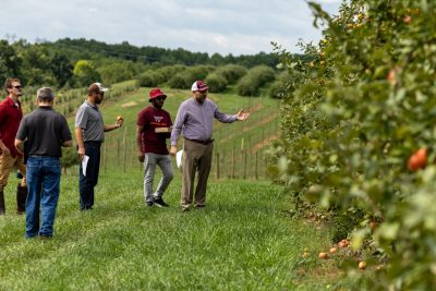 A man gestures at apple trees in an orchard.