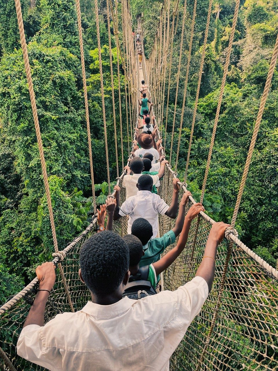 Students crossing a swinging bridge during a field trip.