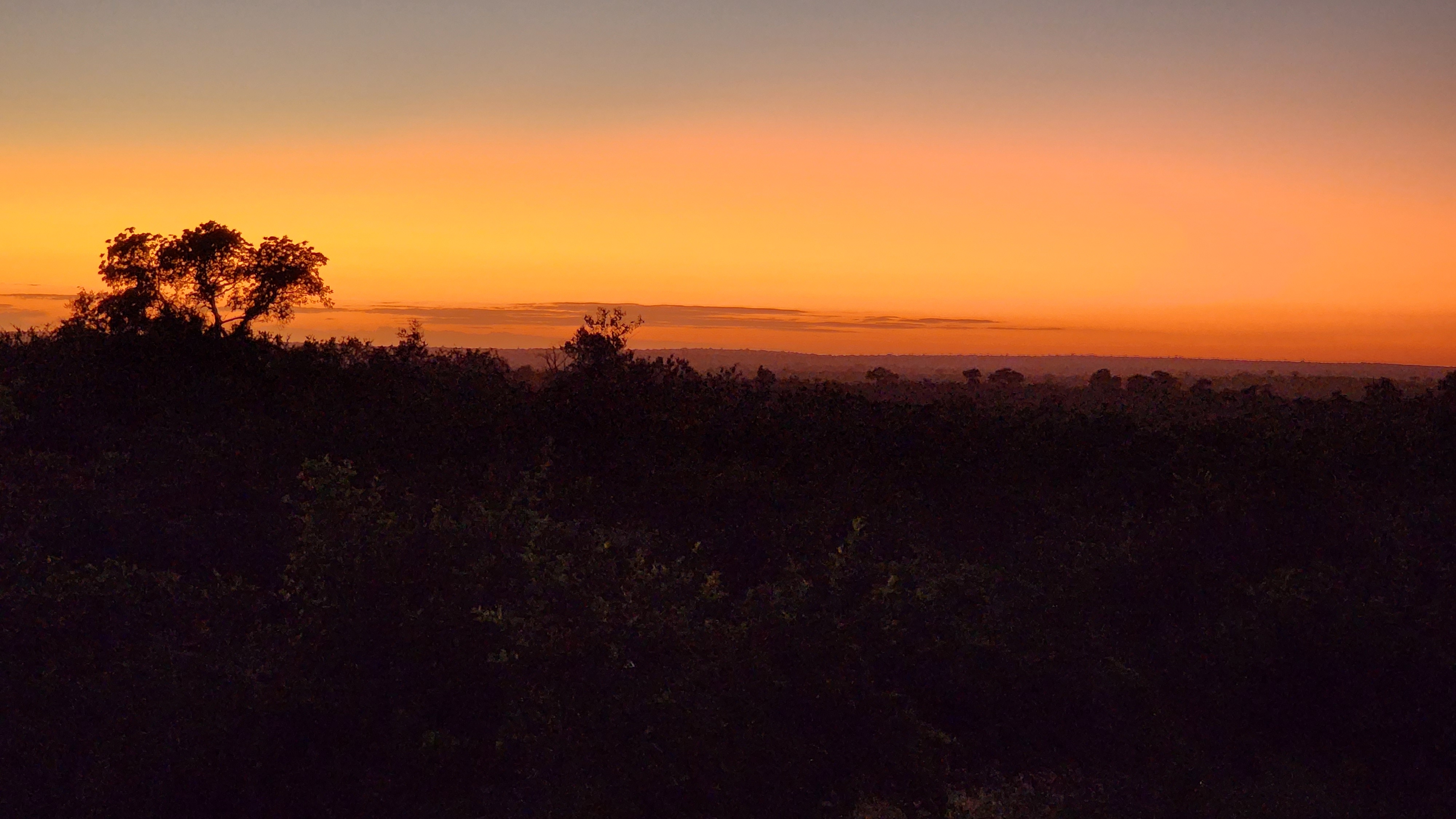 Sun rising over Kruger National Park. Photo by Karen Drake-Whitney.