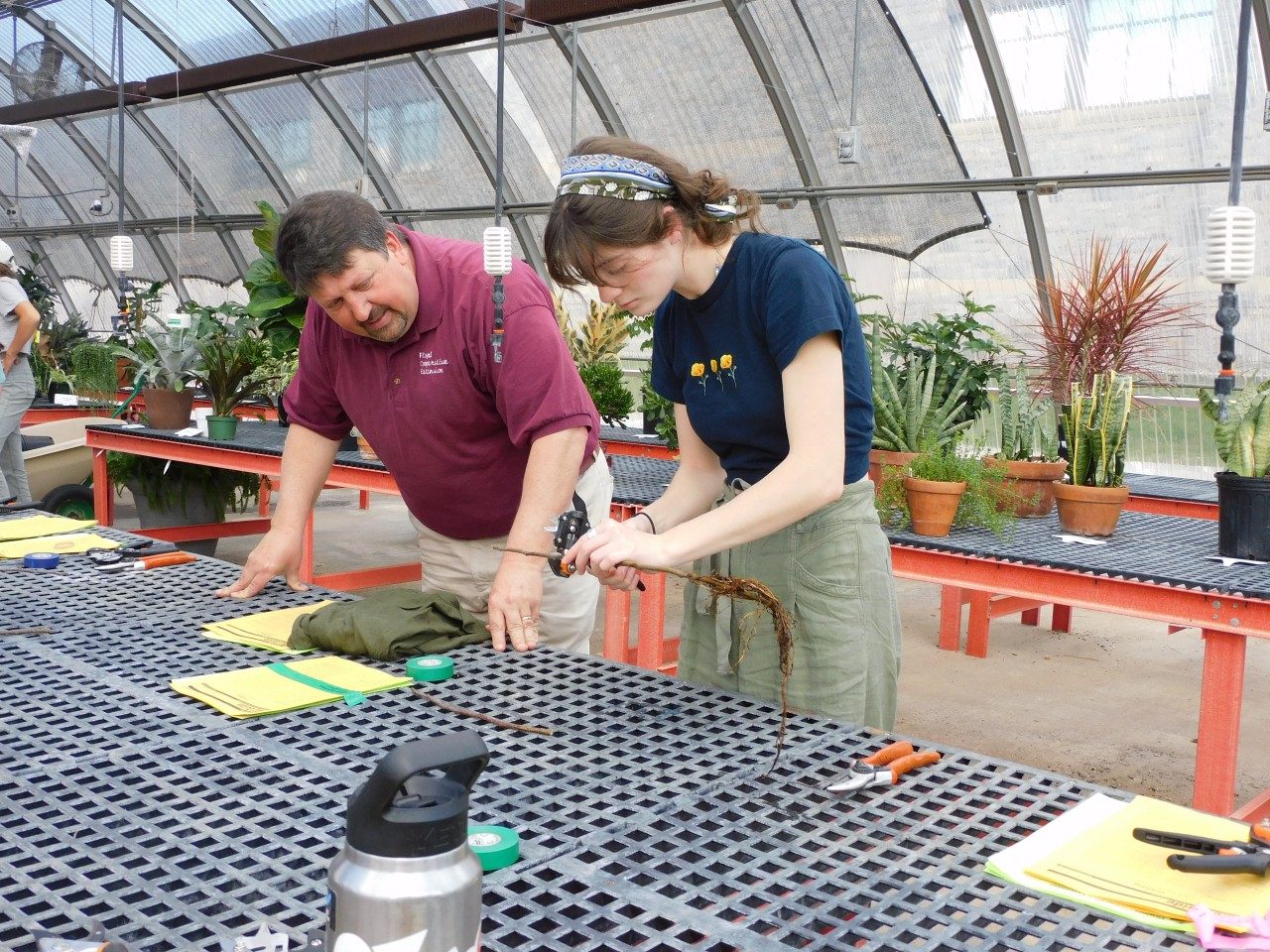 Students grafting plants in the Plant Propagation course.