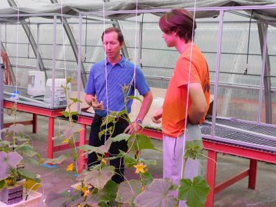 Students in the Greenhouse Management class work in the greenhouse and harvest their crop.