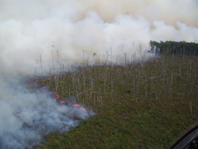 Aerial view of a smoky fire burning among low-growing shrubs.