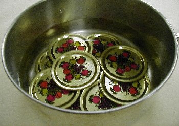 Photo of lids on a container with water
