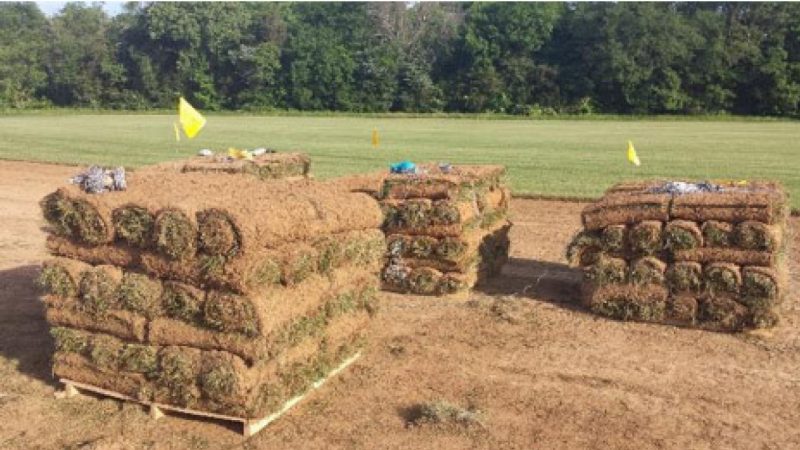 Multiple stacks of rolled sod placed on pallets in a field, demonstrating the ease of transport and installation for small roll sod. 