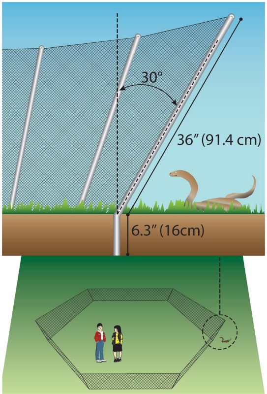 Perimeter fencing to restrict access by snakes.