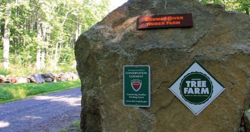 Strip of mature hardwood forest on the left alongside a low stone wall and a gravel forest road. On the right is a large boulder with three signs attached to its face. The signs read (from top, clockwise): Conway River Tree Farm (orange text on maroon background), Certified Tree Farm American Tree Farm System (white background with green circle and white text), and This Property Protected by a Conservation Easement Conserving Another Working Forest.