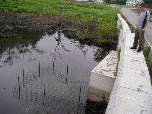 A man standing on top of road abutment at top of culvert looking down at three-sided wire fence anchored in the water, protecting culvert from blockages.