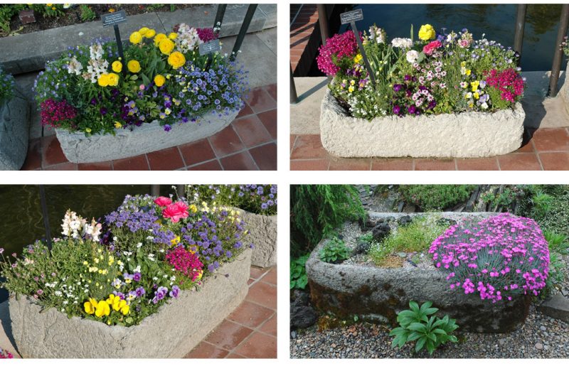 Three photos of Stone Potted Plant and one photo of Stone with Flowers