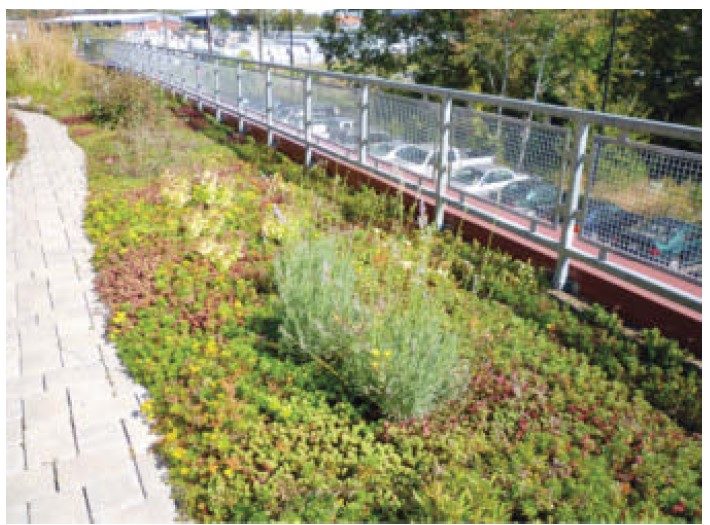 A green roof application.