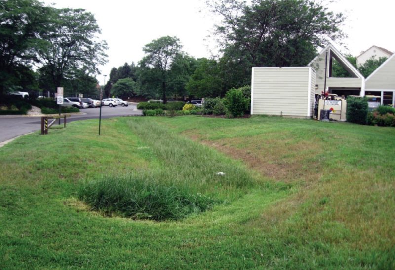 Photograph of typical grass channel.
