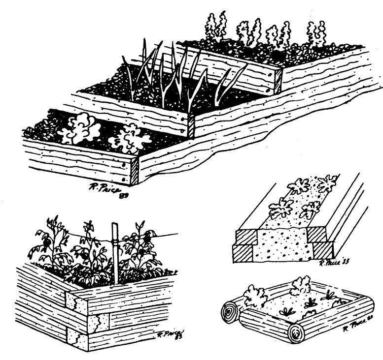 Raised Bed Gardening 