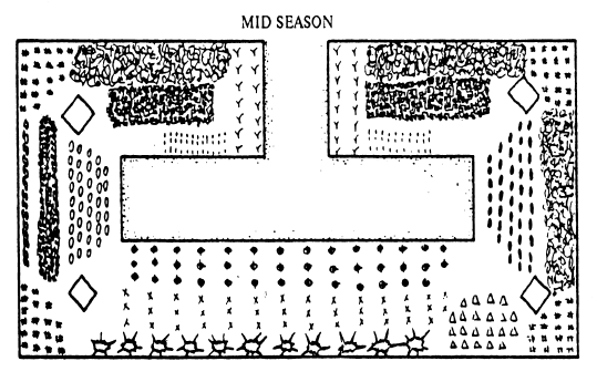 An Intensive Garden Plan for mid season