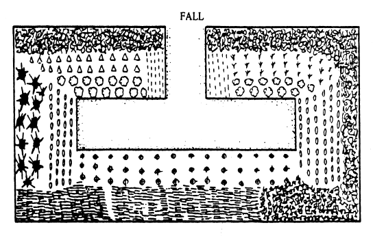 An Intensive Garden Plan for fall