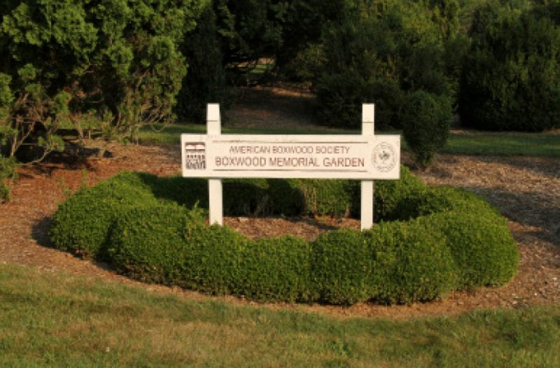 Boxwoods frame the sign for the American Boxwood Society Memorial Garden at the State Arboretum of Virginia in Boyce, Va.