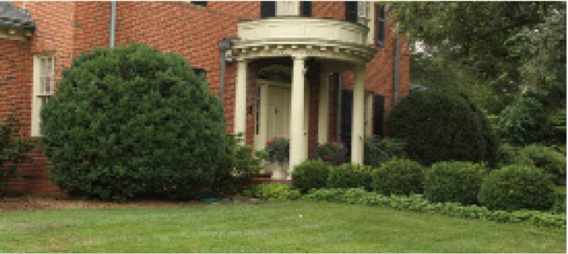 Boxwood shrubs framing the entryway of a brick house with a columned porch.