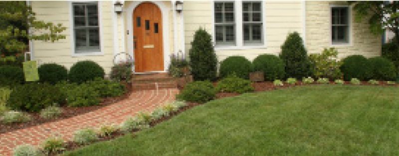 Boxwood shrubs planted along the foundation of a house with a brick walkway.