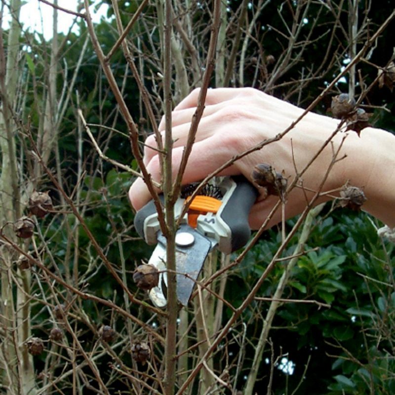 someone heading cutting twigs