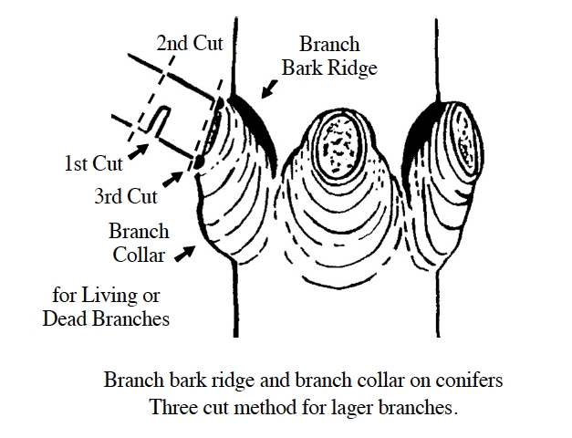 figure5.jpg