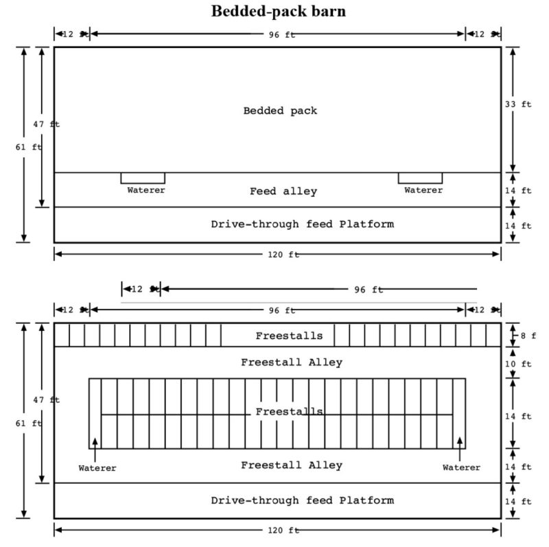 A bedded-pack barn (top) based on the plan for a 3-row, drive-through freestall barn (bottom). The bedded-pack barn would house 39 cows; the freestall barn would house 78 cows.