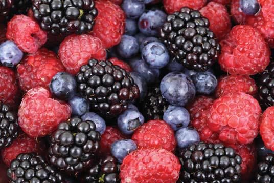 Photo of blackberry, raspberry and blueberry