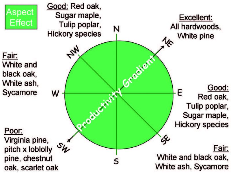 Tree species recommended for different slope aspects.