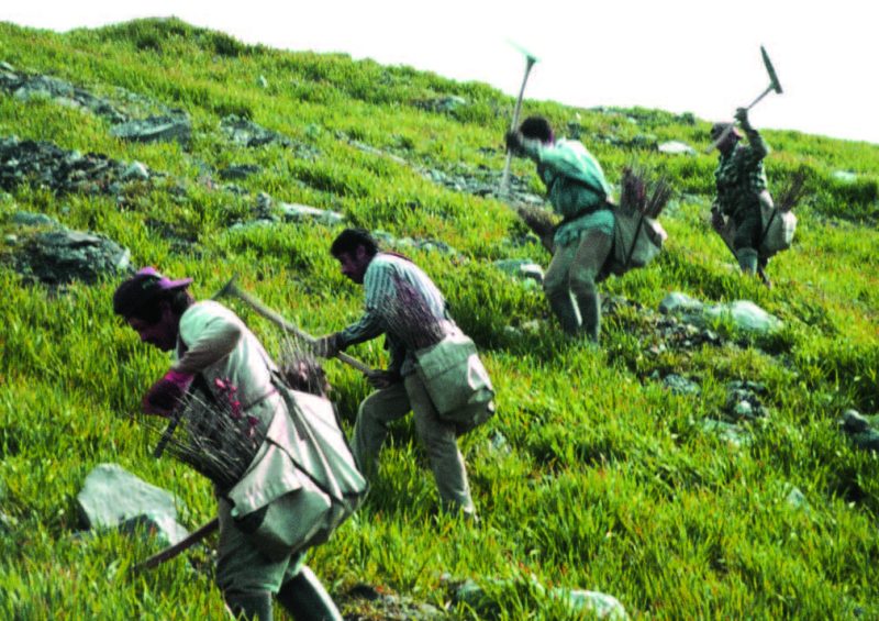 Four people with sacks and large tools working the soil.