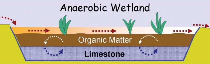 Anaerobic wetland above, orangic matter below, limestone below organic matter