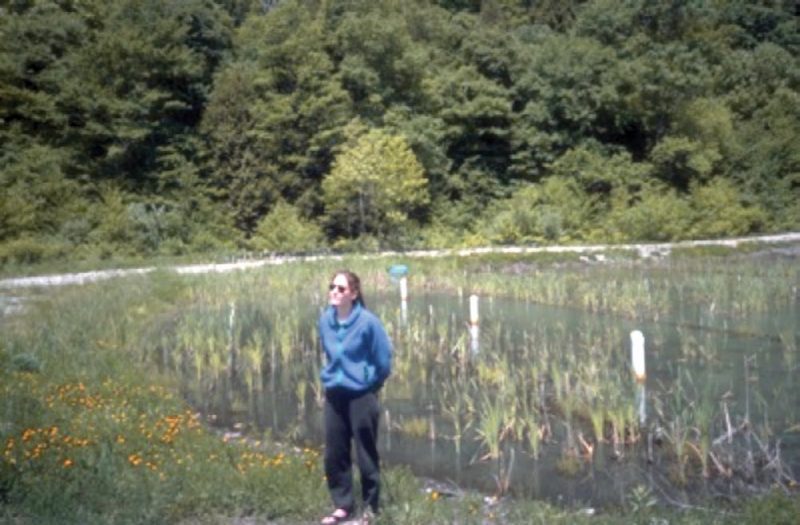 A person wearing a blue shirt and black pants standing in front of the drainage system.