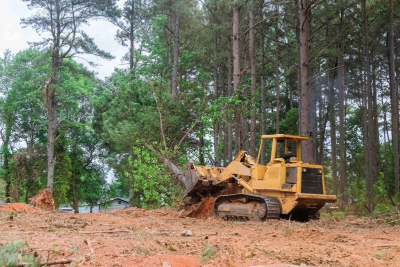 Land Clearing A yellow skid steer tractor removing trees.