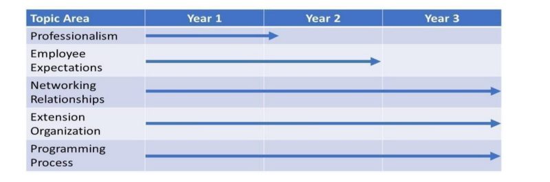 Graphic timeline for inclusion of broad topic areas including professionalism, employee expectations, networking relationships and programming process over three years. 