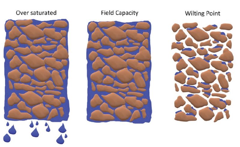 Soil moisture levels.
