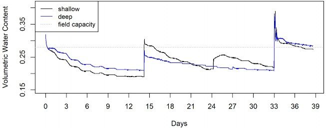 A line graph showing volumetric water content as measured by two soil moisture monitors (one shallow, one deep), as well as field capacity over a period of 39 days.