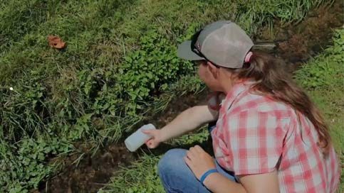 A person sitting in the grass collecting surface water in a cup.