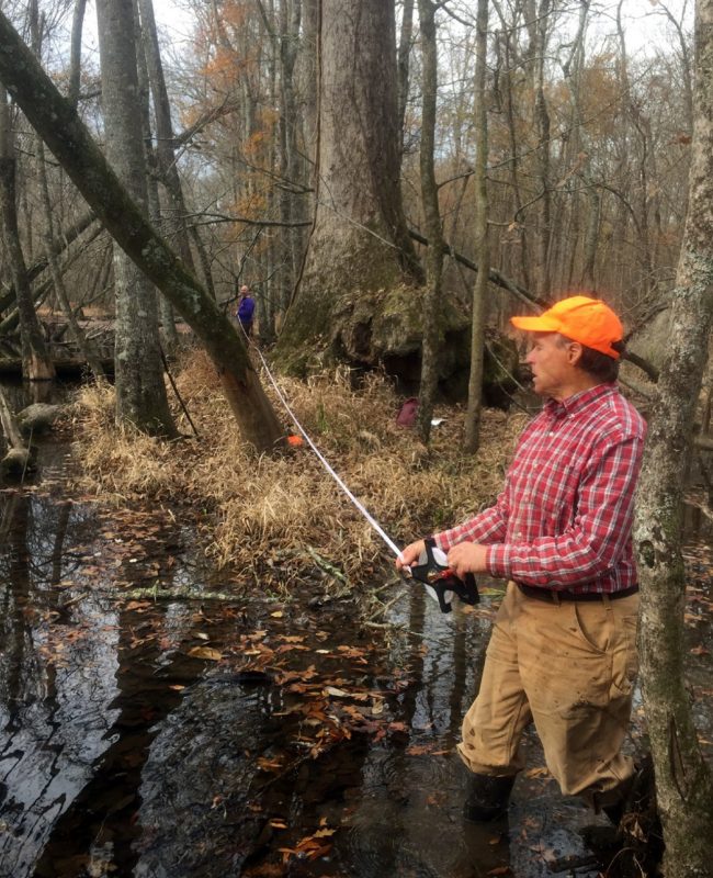 treehunters measuring the national champion water tupelo