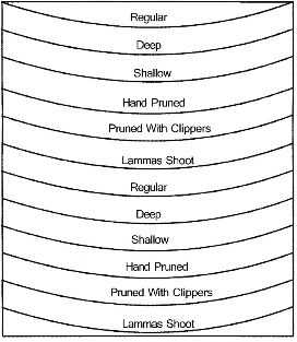 Diagram of seedling survival treatment installations.