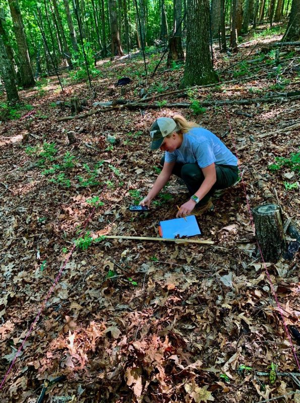 Photograph of student collecting data