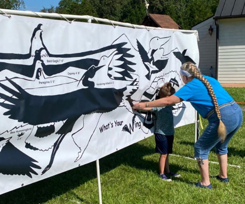 A volunteer holds a youth's arms to the side to see how his wingspan compares to the wingspans of various birds drawn on a display behind him.