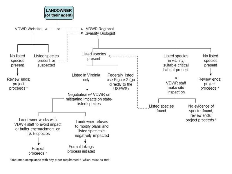 The process shown in this flow chart is described under What's a Person Supposed to Do? Wildlife.