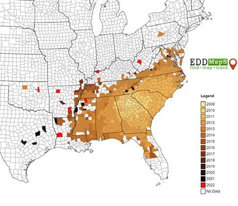 A map of kudzu bug distribution demonstrating the spread of kudzu bug outward from Atlanta since 2009. It shows that kudzu bug is now found in 18 states throughout the southeast and mid-Atlantic US, including PA, MD, DC, VA, WV, KY, NC, SC, GA, AL, TN, MO, MS, AR, OK, TX, LA, and FL.
