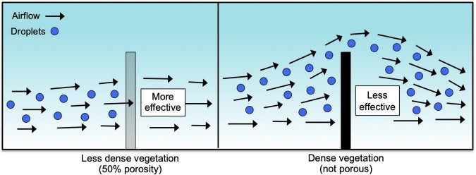 Graphic shows how the porosity of a buffer can effect airflow and spray drift. Dense vegetation forces air and spray drift overtop of the buffer, leaving air unfiltered and continuing to carry spray drift beyond the buffer.