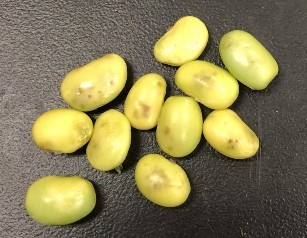 Several edamame seeds covered in dark marks.