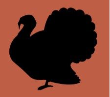 turkey sketch