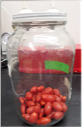 Photograph of grape tomatoes in a sealed glass jar.