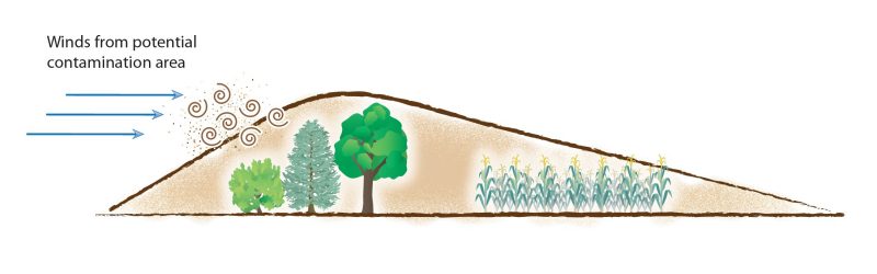 Diagram of how a windbreak can potentially reduce contamination from nearby higher risk areas