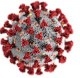 illustration of the morphology exhibited by coronaviruses. 