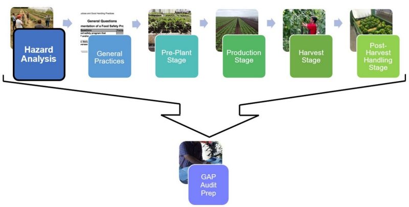 Figure 1. Flow chart showing the different pieces of the series with 6 colored boxes and names of each part, that point to GAP audit preparation box. The first box for hazard analysis is highlighted.