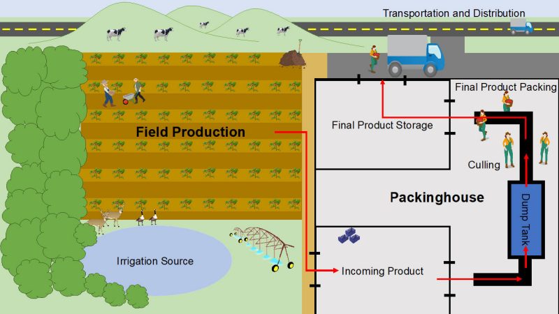 Figure 2. A map showing the farm operations including fields, irrigation sources, adjacent land-use types, packinghouses, storage coolers, transportation and distribution, among other features, along with a red arrow showing the direction of flow from the production areas to the packing and storage areas and out of the facility.