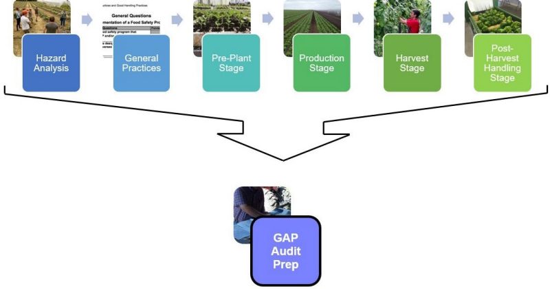 Figure 1. Flow chart showing the different pieces of the series with 6 colored boxes and names of each part, that point to GAP audit preparation box. The seventh box for GAP audit preparation is highlighted.