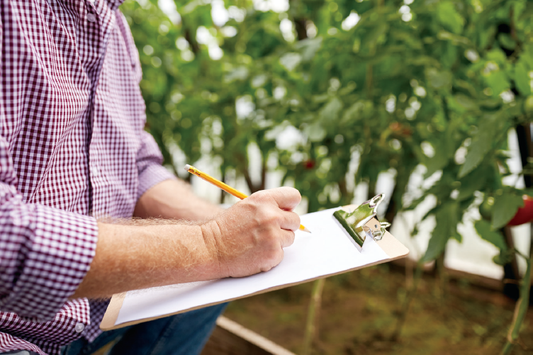 a photo of a person holding writing something in a farm