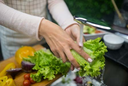 A Person Washing a Lettuce · Free Stock Photo